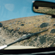 Illustration for article titled Took the Jeeps Up to Mammoth Gulch/Kingston Peak Yesterday